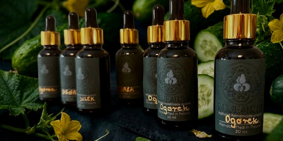 butelki serum Ogórek Blue Irys wśród świeżych ogórków i kwiatów ogórka
