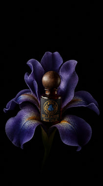 Prawdziwy irys w perfumach, flakon Blue Irys w kwiecie irysa